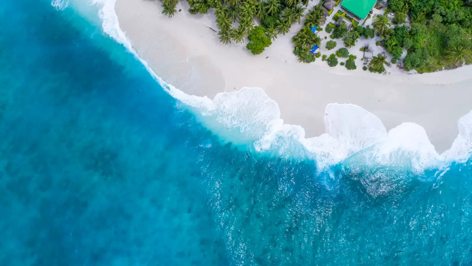 An aerial view of surf breaking onto a pale sand beach backed by dense green trees