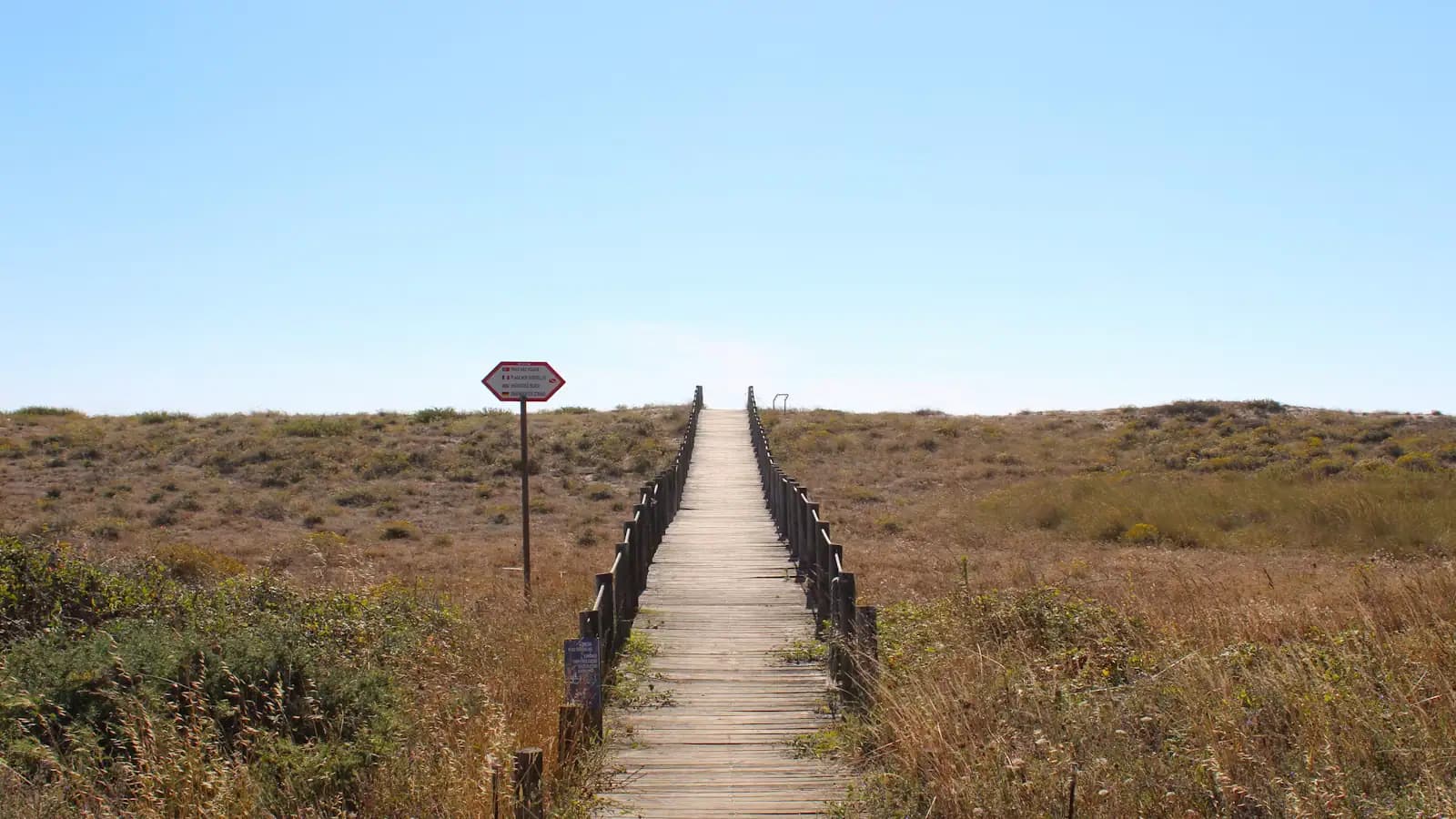 A long wooden boardwalk running straight through low scrub under a clear sky