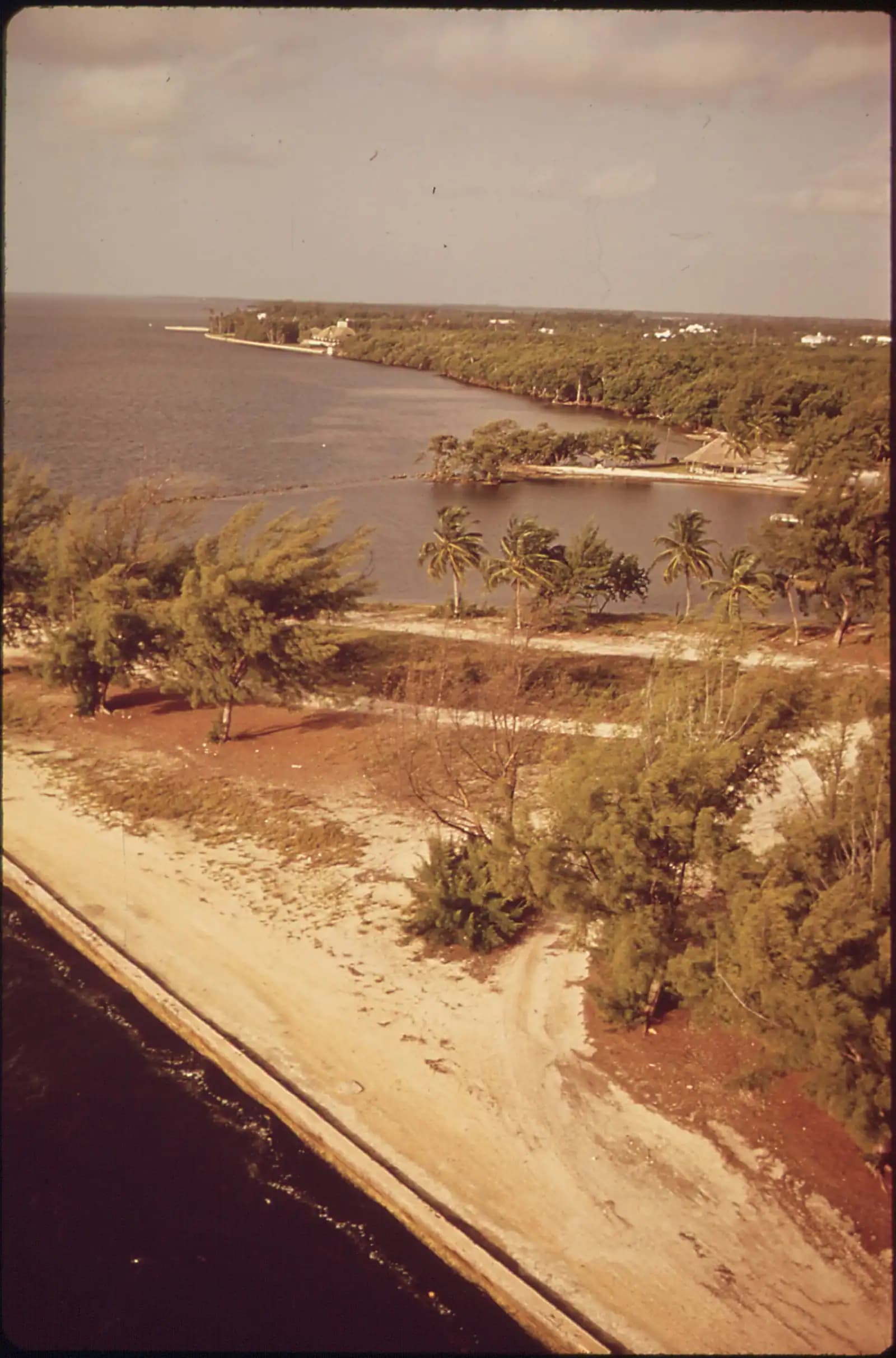 A calm circular saltwater pool ringed by sand and mangrove with a distant city skyline