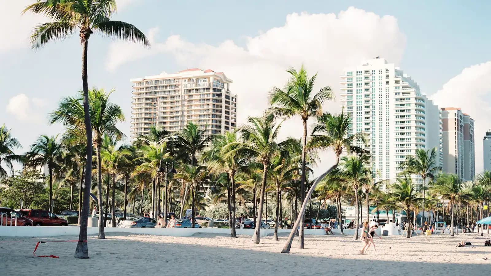A palm-lined beach in front of a row of high-rise hotel towers