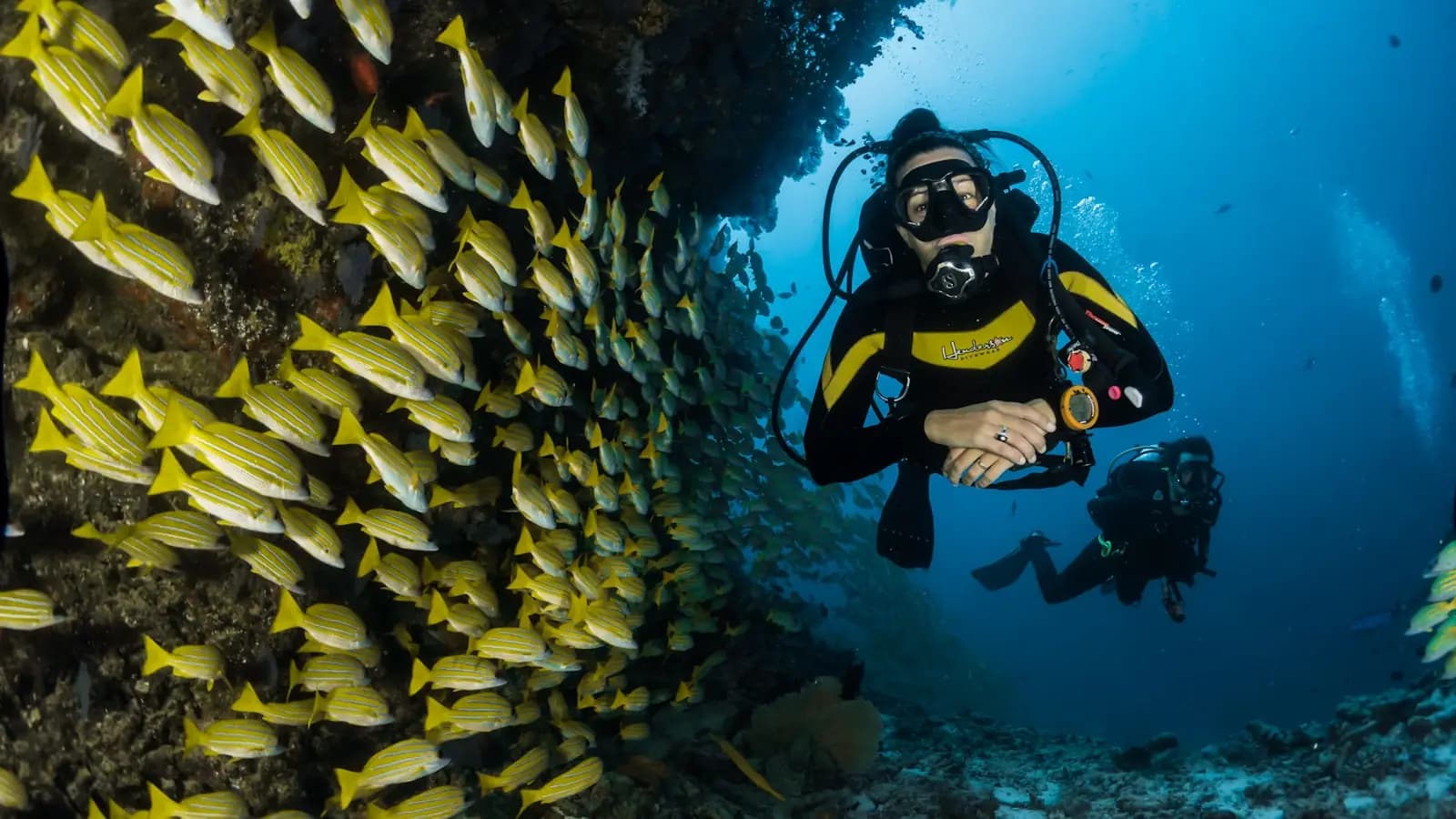 A snorkeller above a shallow patch reef with sea fans and small reef fish in clear Atlantic water