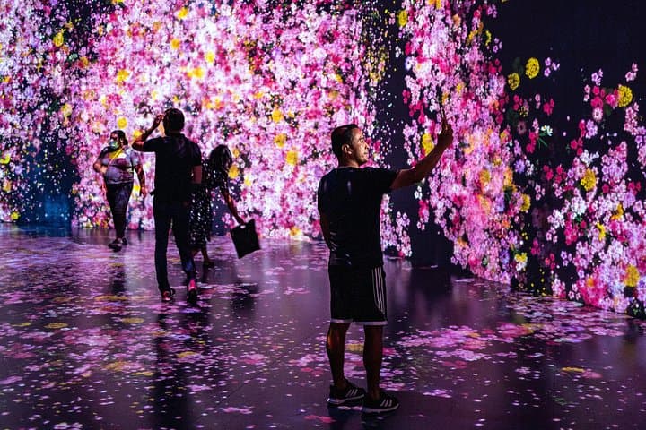 Miami: Superblue Miami Immersive Art Experience Ticket